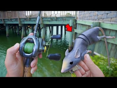 Fishing GIANT CRAZY Lures In Urban Ponds! (Bank Fishing)