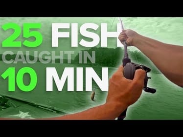 25 Fish Catches in 10 Minutes ! (TOPWATER & MY SECRET BAIT)