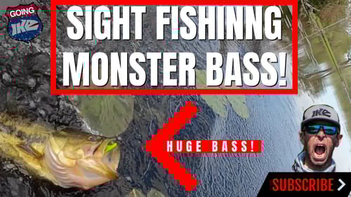Sight Fishing For MONSTER BASS!