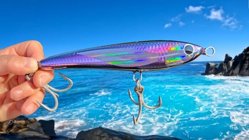 Big Fish love this Lure