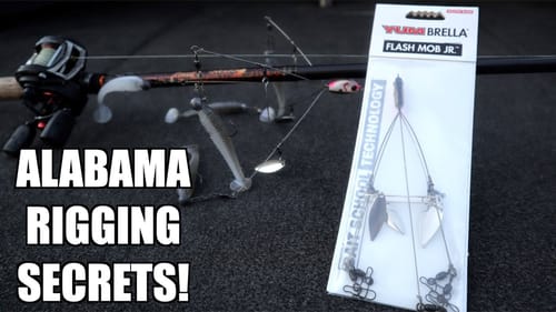How to Rig an Alabama Rig To Catch MORE BASS! (Bass fishing tips)