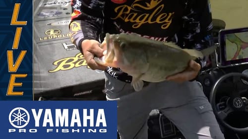 Yamaha Clip of the Day: Benton's late-day largemouth kicker