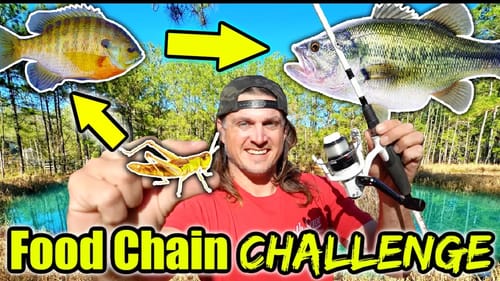 FIRST EVER Food Chain Fishing Challenge in My BACKYARD POND!!
