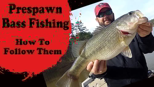 Following Bass During Prespawn