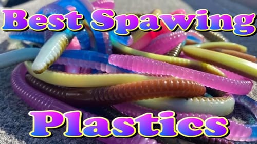 Best Soft Plastics to Catch Bedding Bass
