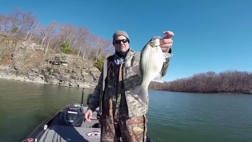Catch Lots of White Bass with These Vertical Fishing Tricks