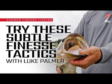 TINY Baits, BIG Bass – Late Summer Finesse Fishing