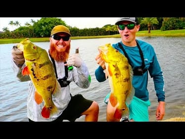CRAZY New PB Peacock Bass (Double Up!)