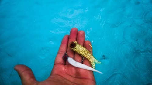 Tiny Baits Catch BIG Fish