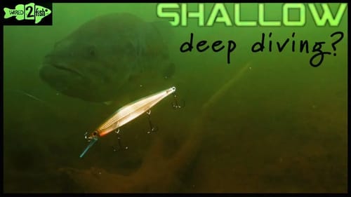 Why Fish Deep-Diving Jerkbaits in Shallow Water?