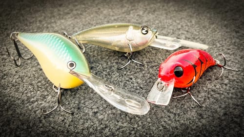Summer Crankbaits That Keep Catching Fish During The Fall Transition!