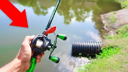 Searching for DOUBLE DIGIT Bass in TROPHY Pond (Bank Fishing)