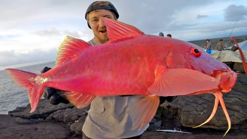 Volcano Fishing a Rare Catch