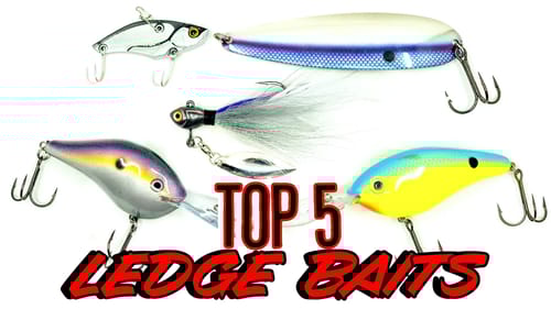Top 5 Baits For Summer Ledge Fishing!