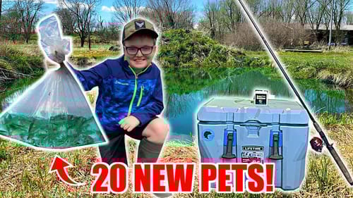 Catching 20 NEW FISH for My BACKYARD Pond!! (Micro Fishing)