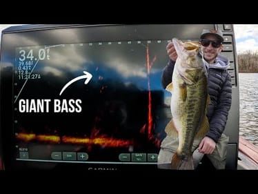SIMPLE FFS Tips To Help You Catch GIANT Bass || How To Livescope Bass