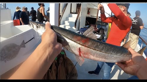 Wide Open Barracuda Bite!! (Offshore Fishing in Southern California)