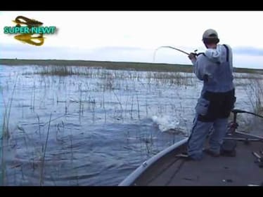 Supernewt, Big Bedding Bass Topwater Action