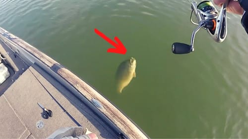 This OLD SCHOOL Lure Is TRULY The Best COLD Water BIG Bass Bait..