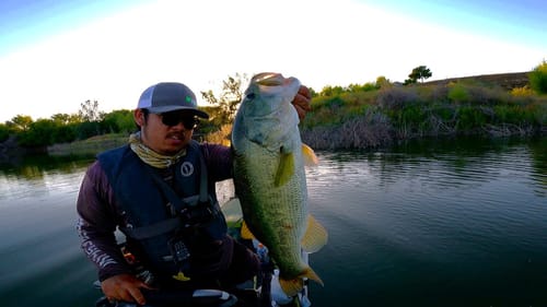 Pond Hopping for Summertime Bass