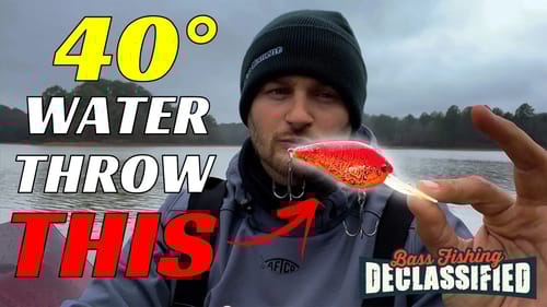Everything You Need to Know About Winter Crankbait Fishing