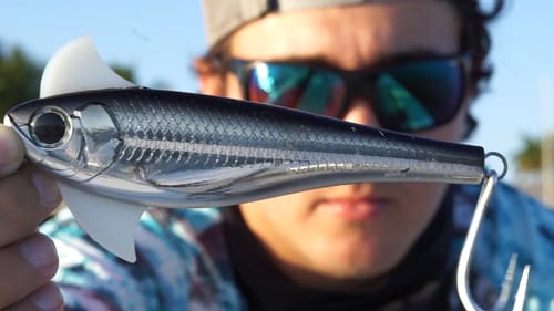The Hunt for a River Monster pt 3