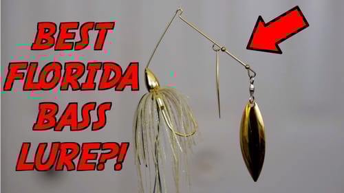The #1 Lure For Florida Bass Fishing!