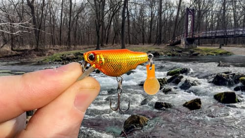 It's Taken YEARS to Catch This BEAST!!! (New PB!)