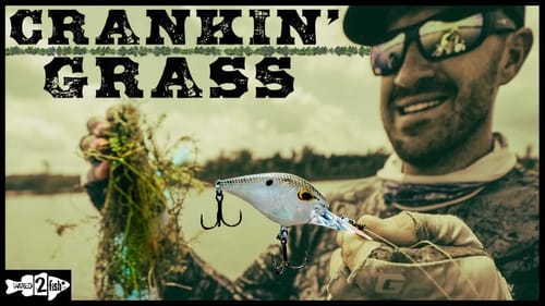 How to Fish Crankbaits for Bass in Grass Lakes