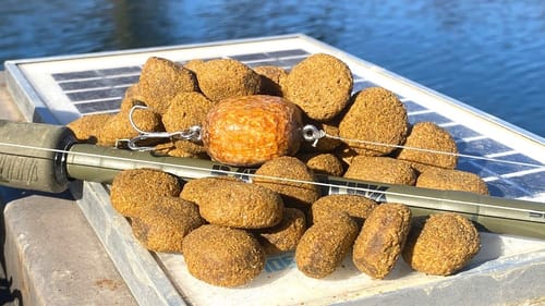 Fake Wooden Food Pellet | One Day Build to Catch