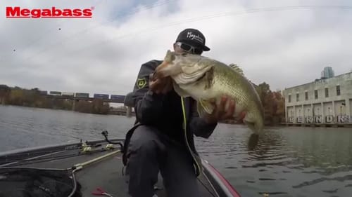 Bass Fishing with the Megabass Islide 262T Swimbait