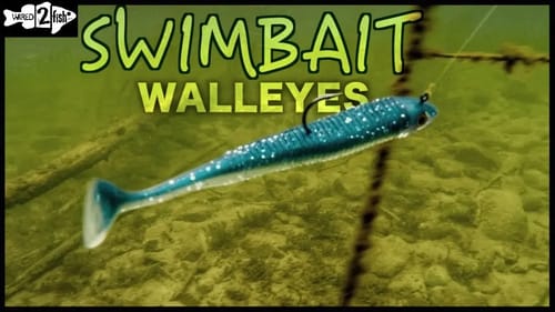 2 Ways to Target Walleyes With Paddle Tail Swimbaits