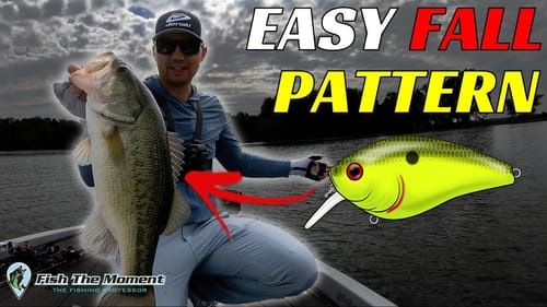 Easy Fall Bass Fishing Pattern to Catch All Day Long