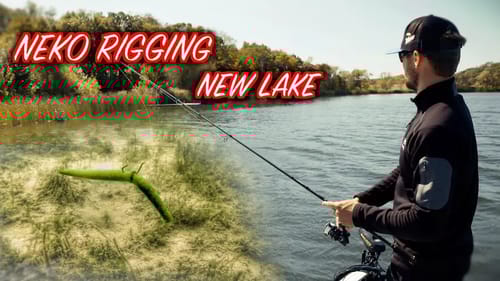 Patterning Bass With the Neko Rig on New Lakes