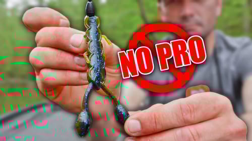 What the PROS Don't Tell you about Bass During the SPAWN