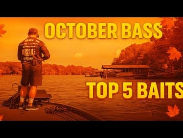 October Bass Fishing: 5 Proven Baits You Need Right Now | Bass Fishing