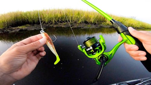 Swimbait Fishing for Whatever Bites! (Surprise Catch)