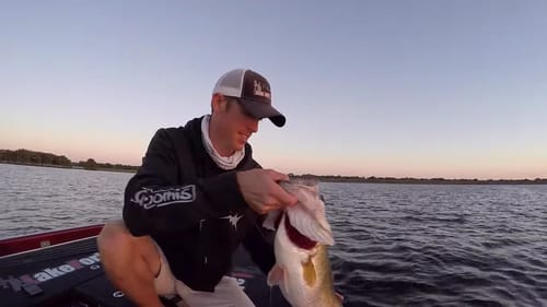 Huge Bass Eats a Jig While Fishing Stumps