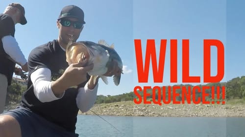 Never Had This Happen Before - Bass Fishing in Texas