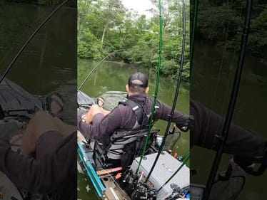 That Stupid Lure….