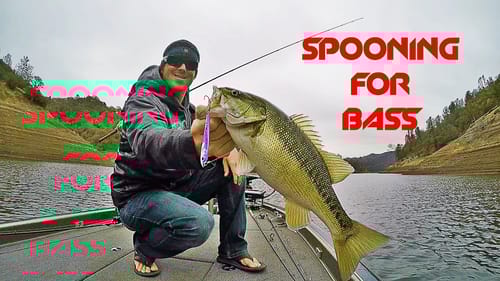 Bass Fishing: How to Catch Fish With a Spoon