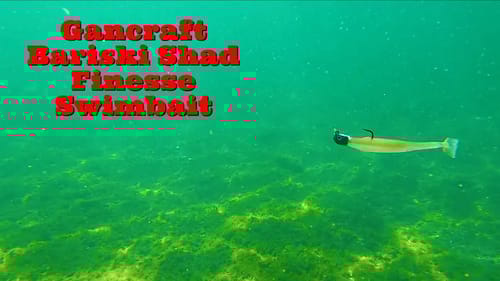 How to Find Active fish with a Finesse Swimbait and Jighead