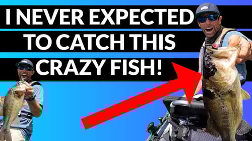 I Never Expected to Catch this CRAZY FISH!