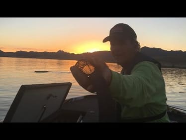 WHY WE FISH
