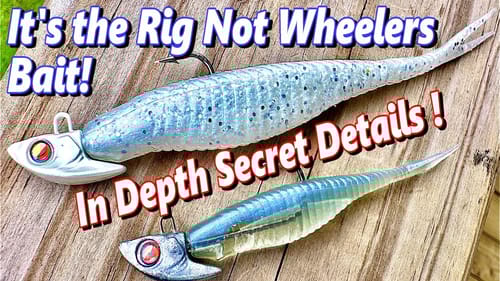 How YOU Can WIN Like a PRO With The Damiki RIG