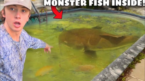 I Found an Abandoned Pool FILLED with Monster Fish!