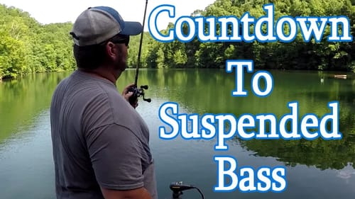 Count Down to Suspended Bass