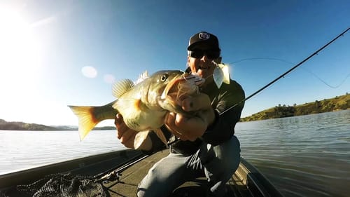 Spring Spinnerbait Fishing: Catching Largemouth and Smallmouth