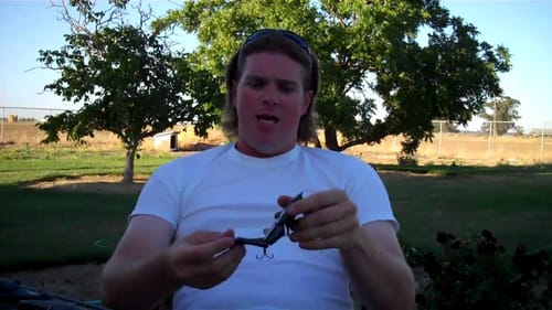 Summertime Topwater