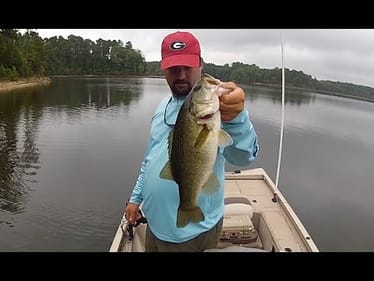 How to fish a Buzzbait Part 2 - Bass Fishing